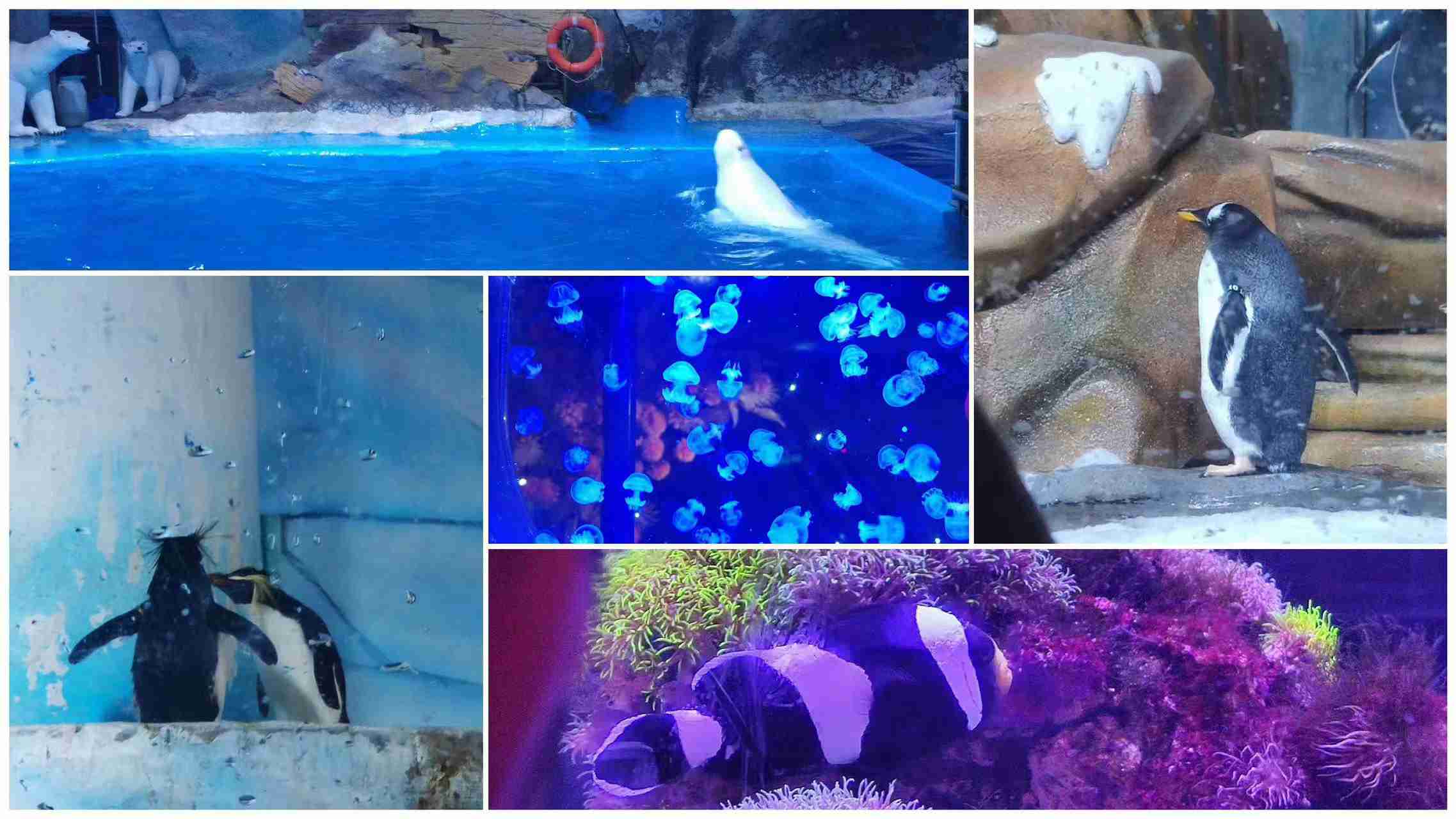 918������(�й���)�ٷ���վ