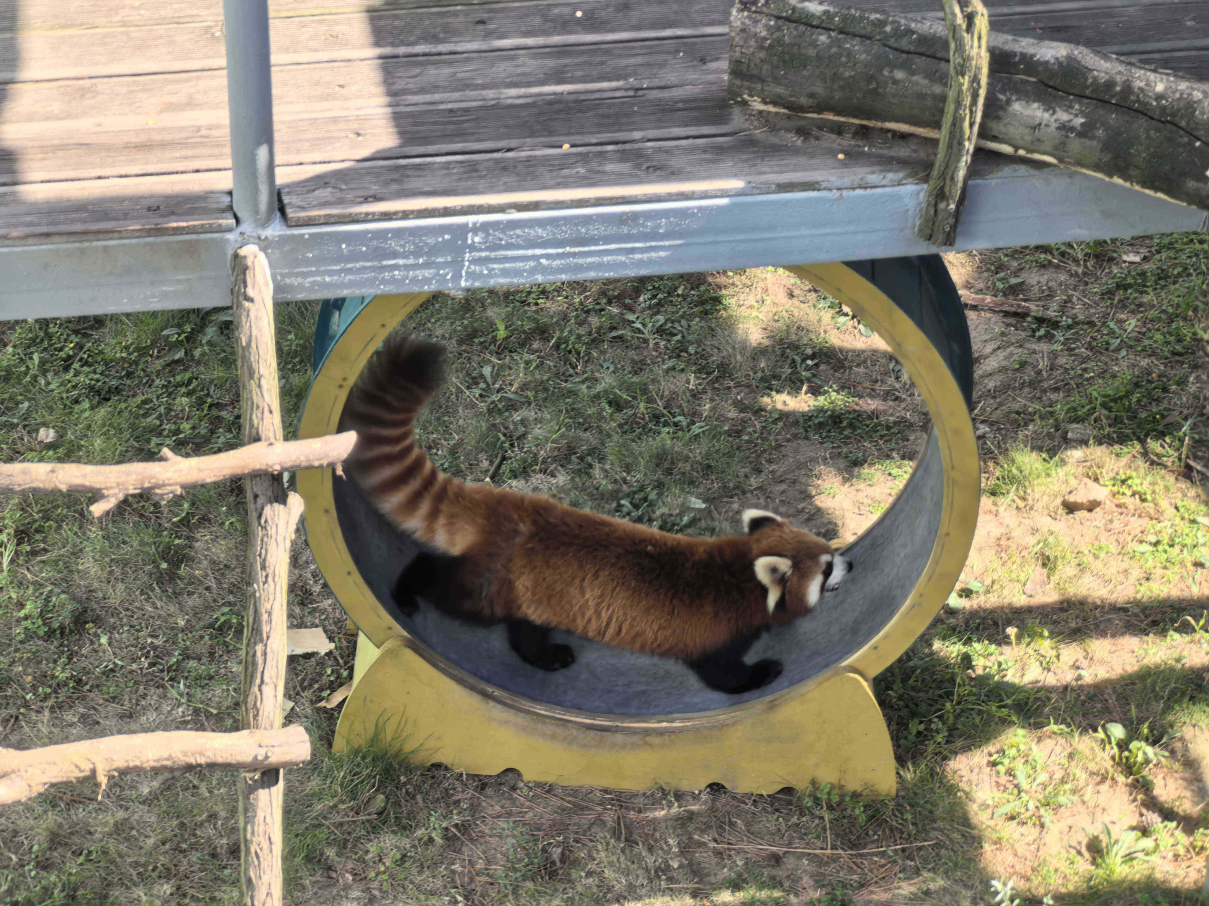 918������(�й���)�ٷ���վ